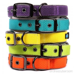 Max and Neo Glacier Reflective Neoprene Metal Buckle Dog Collar - We Donate a Collar to a Dog Rescue for Every Collar Sold - B073ZRPBMM