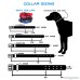Max and Neo MAX Reflective Metal Buckle Dog Collar - We Donate a Collar to a Dog Rescue for Every Collar Sold - B01F36Q60S