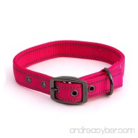 Max and Neo MAX Reflective Metal Buckle Dog Collar - We Donate a Collar to a Dog Rescue for Every Collar Sold - B01F36Q60S