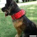 MEIKAI Adjustable Heavy Duty Tough Nylon Classic Dog Collar with Stainless Steel Metal Buckle 2 Inch Width - B01KUOPXB6