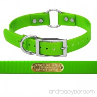 Outdoor Dog Supply's 1 Wide Solid Color Ring in Center Dog Collar Strap with Custom Brass Name Plate - B00VVGZDPO id=ASIN