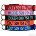 Personalized Dog Collars Custom Embroidered with Pet Name & Number. Available in Soft Leather w/Rounded Edges for Comfort Fit or Woven Nylon w/Snap Closure Buckle. Great Alternative to Pet ID Tags. - B0075XVOYQ id=ASIN