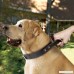 PET ARTIST Genuine Leather Dog Collar for Walking & Training Heavy Duty Dog Collar With Handle for Medium & Large Dogs - B075SWPQ22