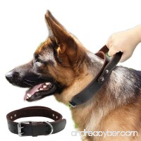 PET ARTIST Genuine Leather Dog Collar for Walking & Training Heavy Duty Dog Collar With Handle for Medium & Large Dogs - B075SWPQ22
