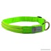 Pet Indutries Metal Buckle LED Dog Collar USB Rechargeable. - B019LKQ2GU