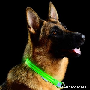 Pet Indutries Metal Buckle LED Dog Collar USB Rechargeable. - B019LKQ2GU