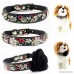 PETFAVORITES™ Rhinestone Dog Collar Designer Crystal Dog Birthday Jewelry Cute Leather Cat Collar with Flower & Bling Charm for Pets Kitten Small Dogs Girl Teacup Puppy Toy Yorkie Chihuahua Clothes Costume Accessories Adjustable Buckle - B01GHWP2AC
