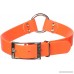 Remington Orange 1-Inch by 22-Inch Waterproof Dog Collar - B0009YUCCI