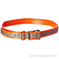 SportDOG Brand 3/4 Inch Collar Straps - Waterproof and Rustproof - Tighlty Spaced Holes for Proper Fit - Multiple Color Options - B00H0B6D80