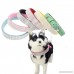 Sunward Bling Rhinestones Dog Collar - Soft Leather Made - Perfect For Pet Show & Daily Walking - B0764XGTWQ