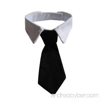 Vedem Pets Dog Cat Formal Neck Tie Tuxedo Bow Tie and Collar Black - B00J63AABQ