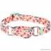 Blueberry Pet Spring Scent Floral Safety Training Martingale Dog Collar No Buckle with Personalization Options - B07587H83S