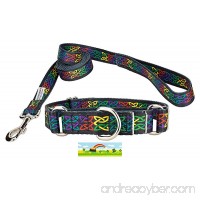 Country Brook Design Martingale Collar & Leash - Irish Pride Collection - B01N4SI86S