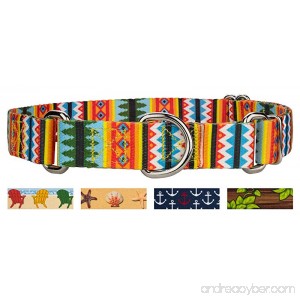 Country Brook Design Martingale Dog Collar - Summer Breeze Collection - B01HOW1VR2