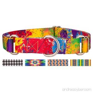 Country Brook Petz Martingale Dog Collar - Abstract Collection - B06XS27R8Y