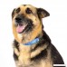 Country Brook Petz Martingale Dog Collar - Animal Collection - B07C4ZW9P8