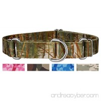 Country Brook Petz Martingale Dog Collar - Military and Camo Collection - B06Y5RC4LS