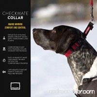 EzyDog Checkmate Martingale-Style Training and Correction Dog Collar - B0056BN02S