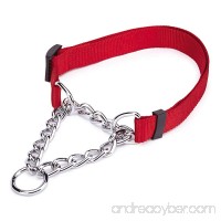 Guardian Gear Martingale Adjustable Choke-Style  Dog Collar - B004AAU5EM