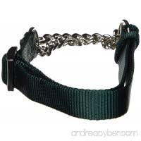 Hamilton Adjustable Combo Choke Dog Collar - B00S00TFUS