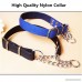 JYHY Stainless Steel Chain Martingale Collar - Gear Adjustable Choke-Style Dog Collar - B075R6SHV7