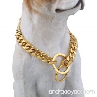 Loveshine Gold Tone Dog Collar 12mm Wide Metal Slip Chain - Cool + Best for Large Dogs: Pitbull Doberman Bulldog Rottweiler & more! - B01K9N1RKO