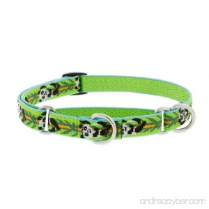 LupinePet Originals 3/4 Panda Land Martingale Collar for Small to Medium Dogs - B072HJCLKT