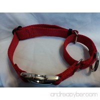 Martingale Dog Collar With Metal Buckle USA Made Tough - B01MSXUAC1