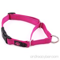 Max and Neo Nylon Martingale Collar - We Donate a Collar to a Dog Rescue for Every Collar Sold - B072JHV1HK