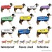 NO DOGS Orange Color Coded Semi-Choke Dog Collar (Not Good with Other Dogs) Prevents Accidents by Warning Others of Your Dog in Advance - B00BY8GN6C