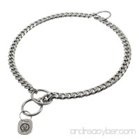 PET ARTIST 3mm Link Slip Stainless Steel Titan Choke Chain Dog Training Collar-Ring Sealed - B07239HTFF