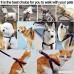 3 PCS Denim Dog Leash Harness Senseten Heavy Duty Durable Adjustable Dogs Leashes Harnesses No-Pull Collar For Dog And Puppy Walking Running - B0711VC7DC