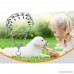 Adjustbale Dog Pinch Collar Pets Training Collar with Rubber Tips For Small Medium Large Dog - B07FP98JP4