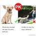 Beirui Chormed Plated Steel Dog Prong Collar - B01LAK71SW