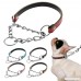 Beirui Leather Padded Training Martingale Choke Chain Dog Collar for Small Medium or Large Dogs - B06XSTLGLF
