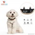 Deluxe Anti Bark Collar For Dogs By Alfie’s Toys – Rechargeable & Waterproof Remote No- Bark Training Collar W/ Voice Recognition – Upgraded 2017 Model- 7 Levels Of Beep Shock & Vibration Sensitivity - B074YHQ3WM