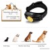 AKKEE Dog Training Collar Electric Dog Shock Collar Rechargeable & Waterproof Pet Trainer Collars with Beep Vibration Shock for Small Medium Large Dogs - B07DK26RP3