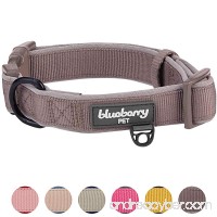 Blueberry Pet 6 Colors Soft & Comfortable Made Well Classic Neoprene Padded Dog Collar - B01M8KQT7A