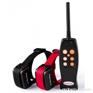 Dogwidgets DW-16 Rechargeable Remote 2 Dog Training Shock and Vibration Collar - B01B3XVSOY
