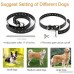 Fettish Dog Training Collar - Rechargeable and Waterproof Dog Shock Collar Electronic Remote Controlled Dog Train with LED Light/Beep/Vibration/Shock Adjustable Collar for Dog - B07DXWMVWY