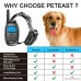 Peteast Remote Dog Training Collar Rechargeable and Waterproof Electronic Dog Trainer Shock Collar with Beep Vibration and Shock for All Size Dogs (10Lbs - 100Lbs) 1000ft Range - B07116MLXQ