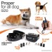 PetLevelUp Shock Collar for Dogs - Dog Training Collar with Remote Control 1000 feet - Rechargeable and Waterproof Electric Collar for Large Medium Small Dogs - B078NYNGZ6