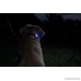 SportDOG Brand Locator Beacon - Bright Waterproof Dog Collar Light with Carabiner - Flashing or Solid Safety Light can be used for Night Walking Jogging Camping Hunting or Hiking - B00JEPFAD4