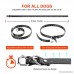 Tigygy Dog Training Collar 1800ft Remote Control [2018 Upgraded Version] Waterproof Rechargeable with Tone/Vibration/Electric Shock Modes for Small Medium Large Dogs - B07D7QWKWW