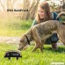 Bark Collar for small dogs & Medium Dogs Humane Shock Vibration Modes No Bark Training Collar Adjustable 7 Sensitivity 3 Modes Rechargeable Rainproof - B075XNW2GV