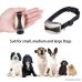 Bark Collar for small dogs & Medium Dogs Humane Shock Vibration Modes No Bark Training Collar Adjustable 7 Sensitivity 3 Modes Rechargeable Rainproof - B075XNW2GV
