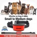 Bark Collar Humane Barking Collar 2018 Upgrade Rechargeable No Shock Anti Bark For Small To Medium Dogs Adjustable Sensitivity Levels Sound Beep & Vibration Pet Training | Rechargeable Battery - B0799PVQGW