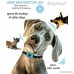 Dog Bark Collar-New Version 2018-Sound & Vibration Humane Training Collar for Small Medium and Large Dogs- NO SHOK Safe Pet Waterproof Device-Free!!-Led Light Tag! - B07BPB83DP