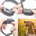Fiddo No Bark Collar with 7 Sensitivity Adjustable Levels for Medium Large or Small Dogs 15-100 lbs Dogs - B0734RTX6J