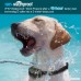 FOCUSPET Dog Bark Collar Anti-Barking Control Bark Collar (Including Shock Mode and No Shock Mode) for Small Medium Large Dogs No Bark Collar - B078TCNYFW